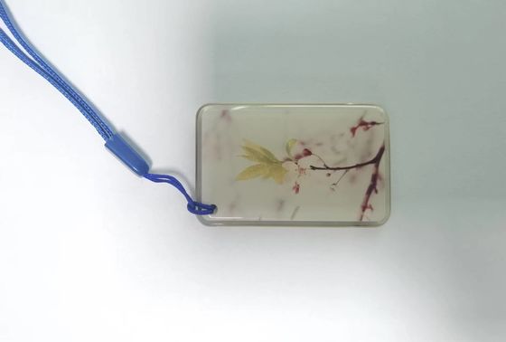 Εποξική ετικέττα ετικεττών 13.56Mhz NFC ISO14443A RFID NFC για το σύστημα ελέγχου προσπέλασης